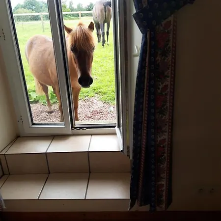 Idaway Appartement Sarceaux